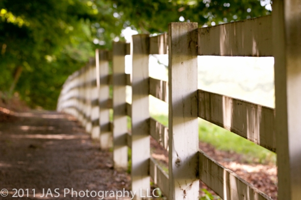 a warm walkway in the forest with a white picket fence